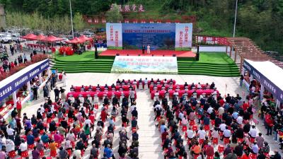 房县举办首届“神农贡”茶王争霸赛暨窑淮镇茶旅文化节活动