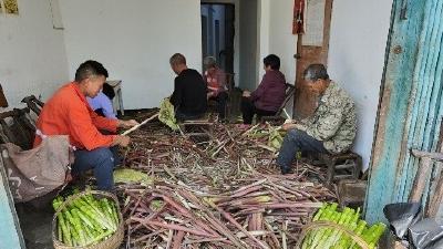 中坝乡龙滩村：“笋子兵法”助力乡村振兴