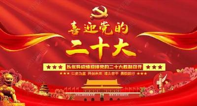 九道乡：现场拉练找差距 党建引领促提升