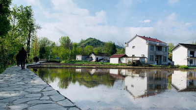 化龙堰镇：优环境美乡村  兴产业促振兴 