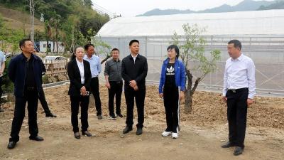 纪道清到窑淮镇调研时强调：坚持党建引领 放大产业优势 推进全面振兴