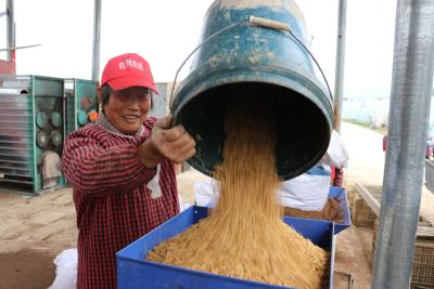 房县：机械化育秧 为水稻高产稳产打好基础
