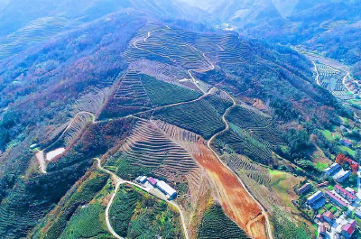 县农村工作领导小组专题研究乡村振兴工作