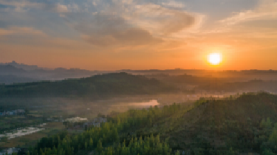 野人谷镇：以“微服务” 推进“阳光村务”全覆盖