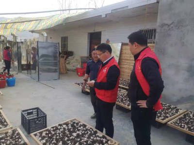 中坝乡开展常态化“清洁房县”活动