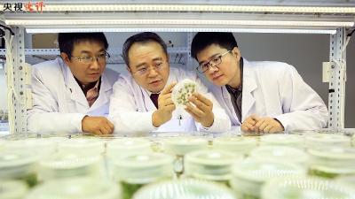 【央视快评】携手应对全球性威胁和挑战 推动共建人类卫生健康共同体