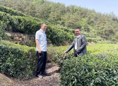 300万！房县农商行发放全行首笔企业版“青创贷”