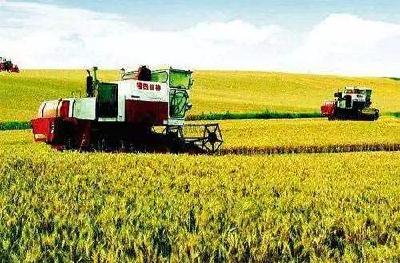 沙河乡：多种形式开展强农惠农民生政策宣传