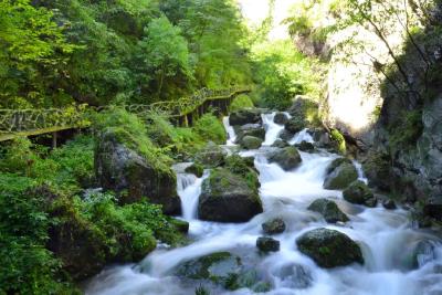 房县启动“人大代表之家”评星活动 强化服务保障 促进履职尽责