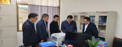 林云国到白鹤镇调研基层党建工作时强调：全力打造党建引领城乡融合示范区