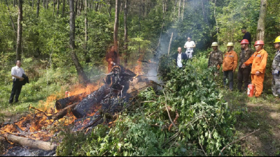 房县严管松材线虫病疫木焚烧用火