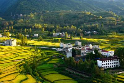 房县：多举措抓好春季农业生产