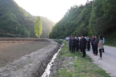 大木厂镇：聚力乡村振兴，人大代表在行动