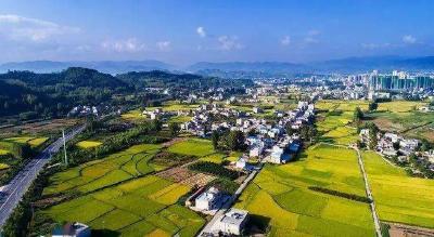 我县开展一季度乡村振兴示范村拉练