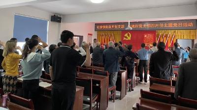 红塔财政所：扎实开展“支部携手共建，助力乡村振兴”活动