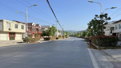 化龙堰镇：治理乡村环境  助推乡村振兴