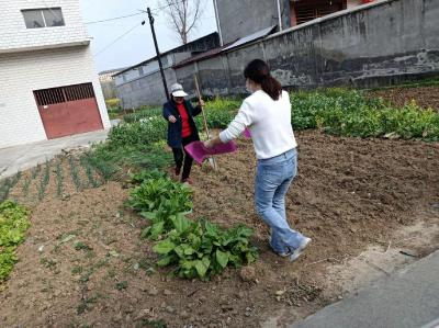 城关镇宣传惠农政策 助力乡村振兴