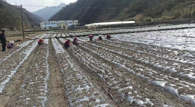 九道乡八里坡村：整合特色基地 助推农民增收