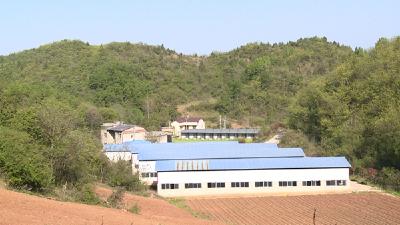 房县：积极推进清廉村居建设