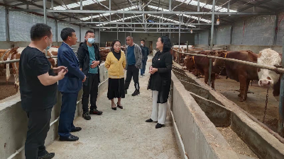 县民政局与沙河乡支部联建助振兴