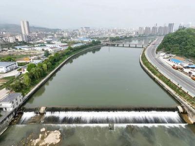 房县：白鹭“安家定居”汉江流域马栏河 