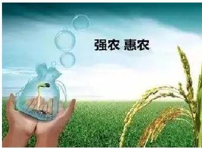 红塔镇财政所扎实开展惠农政策宣传