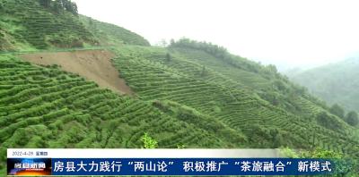 房县大力践行“两山论” 积极推广“茶旅融合”新模式