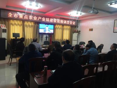 房县：做强“七大产业链”  奋力开创农业产业新局面