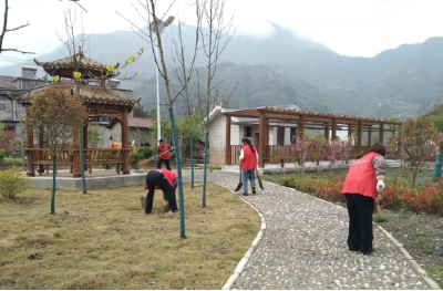 绿美九道共守护 洁美家园齐参与