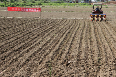 高粱机械耕作 助力特色产业