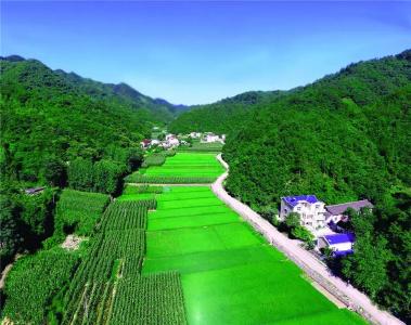 九道乡：党建赋能，机械增效 共育云端“黄金叶” 