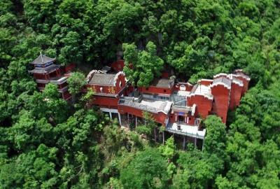 为今天添绿，为明天增势（今日谈）