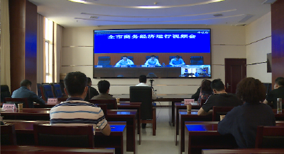 全市召开商务经济运行视频调度会
