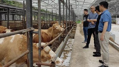 县残联深入大木厂镇督导残疾人工作