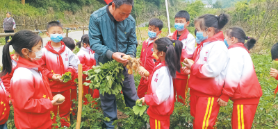 户外实践乐趣多