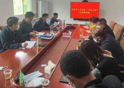 沙河乡：助力乡村振兴，人大代表在行动