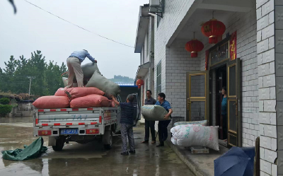 尹吉甫镇：艾草收购忙   农户笑开颜