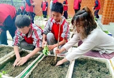 房县天明小学：开展劳动节系列活动