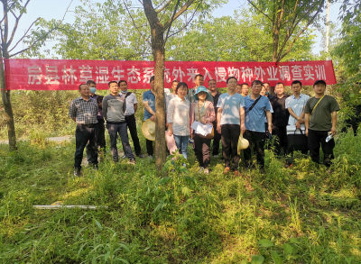 房县开展外来入侵物种普查培训