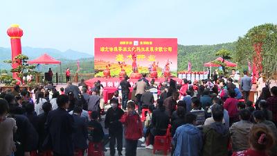 房县诗雅茶旅项目正式投入运营