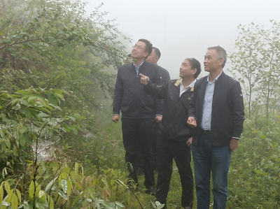 饶正涛深入沙河乡开展巡林工作