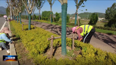 房县165名园林绿化工人坚守岗位植树护绿