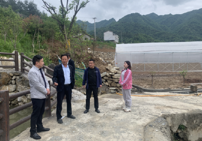 窑淮镇：返乡创业  助推产业小镇建设