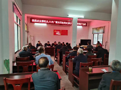 ​县委政法委：开展“支部联支部 携手助振兴”活动