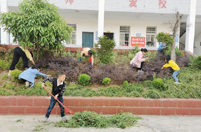 九道乡关坪小学：开展“除草护绿美化校园”活动