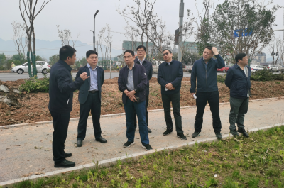 省林业局调研组来房调研林业重点工作