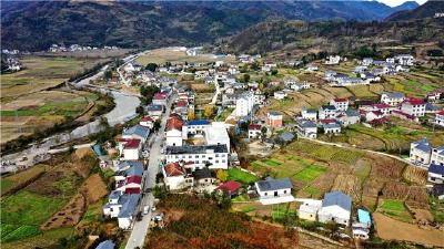 房县中坝乡：多措并举 促进高粱酿酒产业蓬勃发展