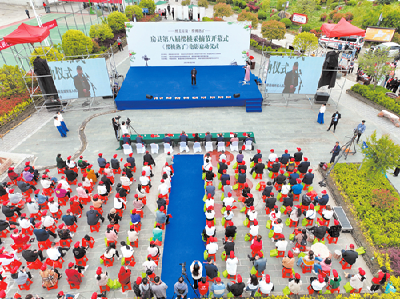 房县：“小樱桃”激活乡村振兴“大产业”