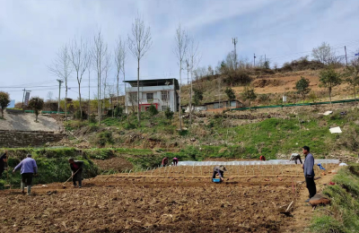 乡村振兴忙，奏响产业兴旺“椒响乐”