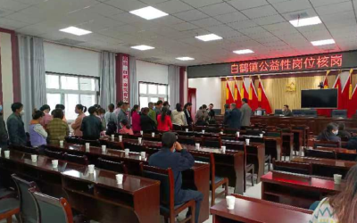 县公共就业和人才服务中心：深入乡镇，持续推进公益性岗位核岗工作